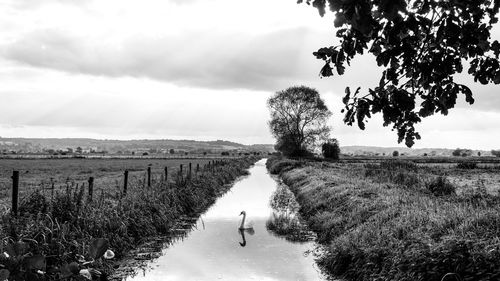 Man walking on field against sky