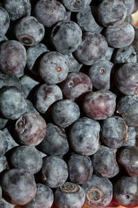 Full frame shot of blueberries