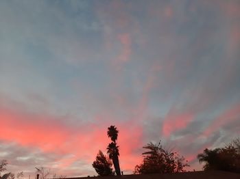 Low angle view of silhouette trees against dramatic sky