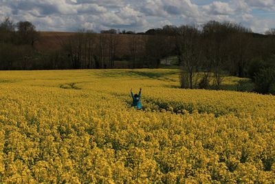 Rear view of person standing at oilseed rape field