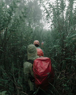 Rear view of man standing in forest