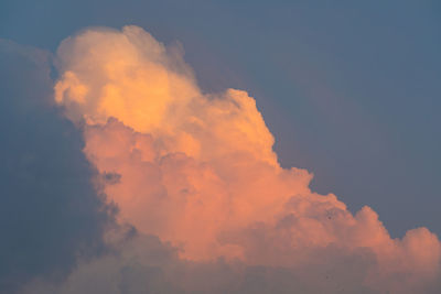 Low angle view of orange sky