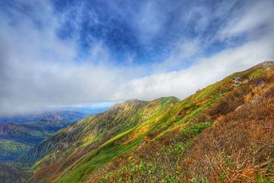 Scenic view of landscape against sky