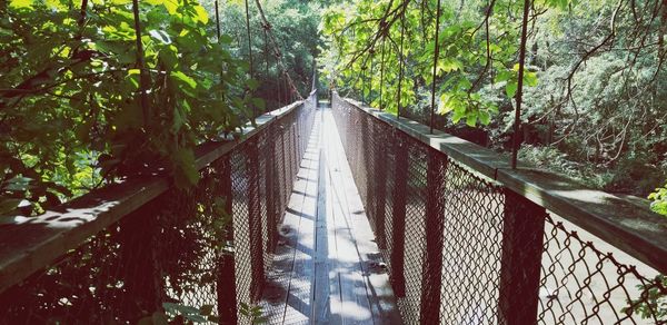 Footbridge amidst trees in forest