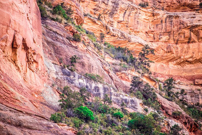Scenic view of rocky mountains