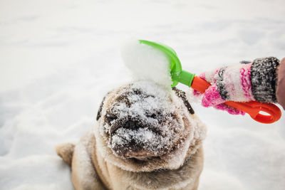 Close-up of ice cream cone in snow