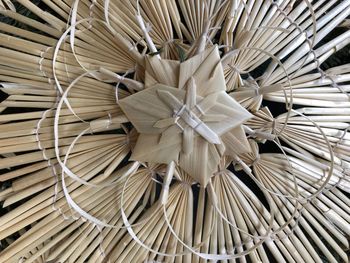 Full frame shot of leaves