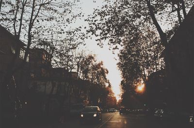 Low angle view of silhouette trees against sky in city