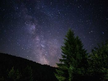 Low angle view of silhouette trees against sky at night