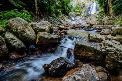 Scenic view of waterfall in forest