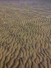 Full frame shot of sand on beach