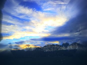 Silhouette trees on field against sky at sunset