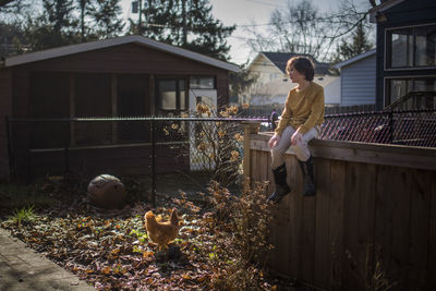 A beautiful child sits on a fence in a backyard looking at a chicken