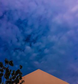 Low angle view of trees against sky at dusk