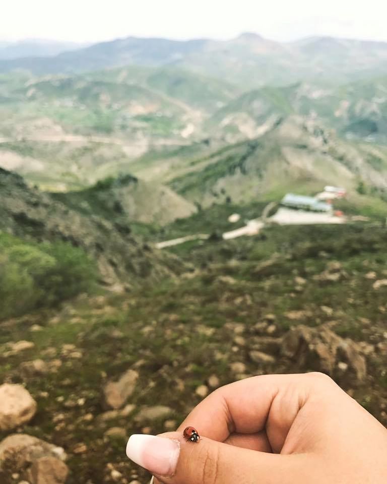 CLOSE-UP OF HAND HOLDING MOUNTAIN