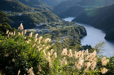 High angle view of river and trees against sky