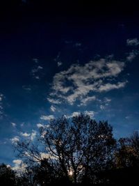 Low angle view of silhouette trees against sky at night