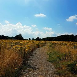 Scenic view of field against cloudy sky