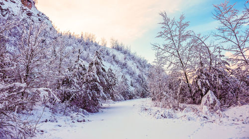 Snow covered landscape against sky