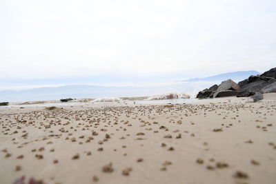 Morning beach close up