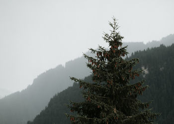 Scenic view of tree mountains against sky