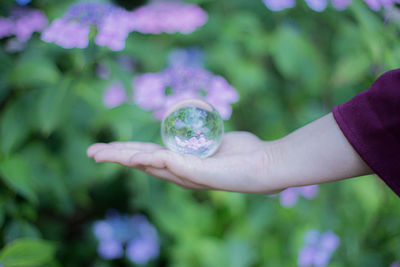 Close-up of hand holding purple leaf