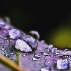 Close-up of raindrops on metal
