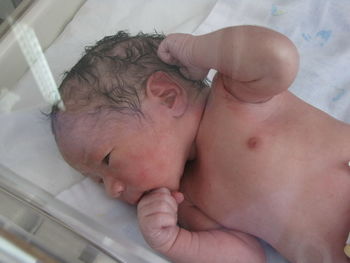 High angle view of shirtless newborn on bed seen through glass