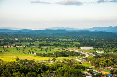 High angle view of trees on field against sky