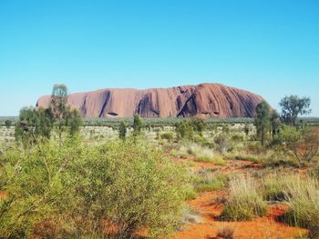 Scenic view of landscape against clear blue sky