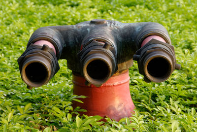 Close-up of pipe amidst plants on field