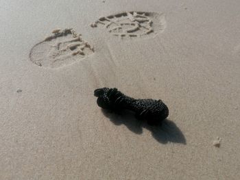 High angle view of footprints on sand at beach