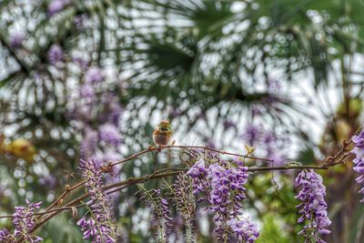 Low angle view of bird perching on branch