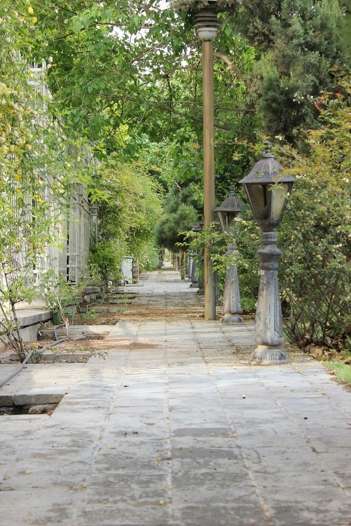 plant, built structure, architecture, growth, building exterior, tree, steps, house, green color, grass, day, the way forward, bench, nature, outdoors, front or back yard, no people, footpath, wall - building feature, stone wall