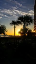 Silhouette palm trees against sky during sunset