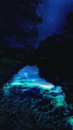 Reflection of silhouette trees in calm water at night