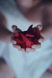Close-up of hand holding rose