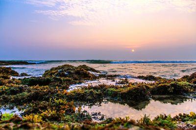 Scenic view of beach at sunset