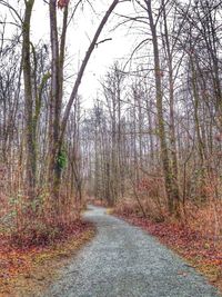 Road passing through landscape