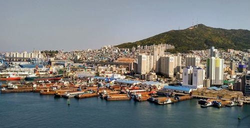 Sailboats in city by sea against clear sky