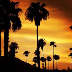 Silhouette palm trees against romantic sky at sunset