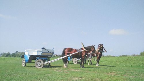 Horse cart on field against sky during sunny day