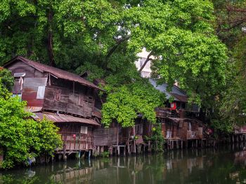 Plants and trees by lake against building
