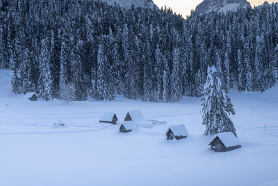 Snow covered landscape