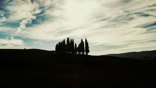 Silhouette horse on landscape against sky