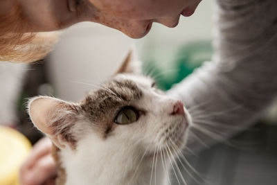 Close-up of boy with cat