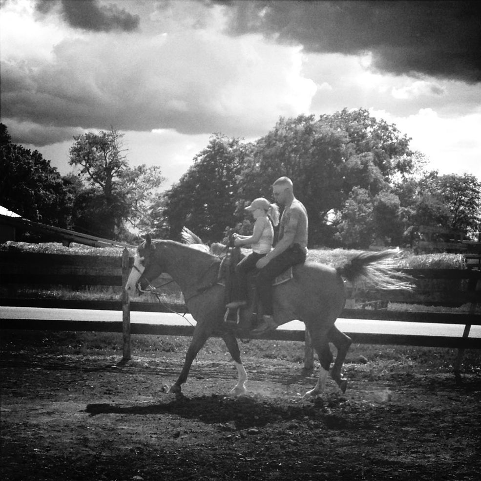 animal themes, sky, tree, horse, mammal, domestic animals, cloud - sky, cloud, one animal, sunlight, transportation, nature, two animals, livestock, working animal, cloudy, herbivorous, day, full length, outdoors