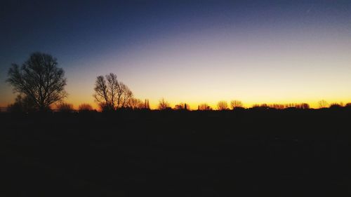 Silhouette trees against sky during sunset