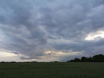 Scenic view of agricultural field against sky during sunset