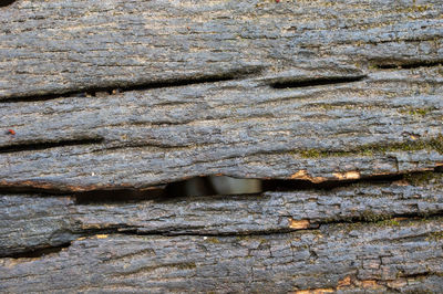 Full frame shot of weathered wall